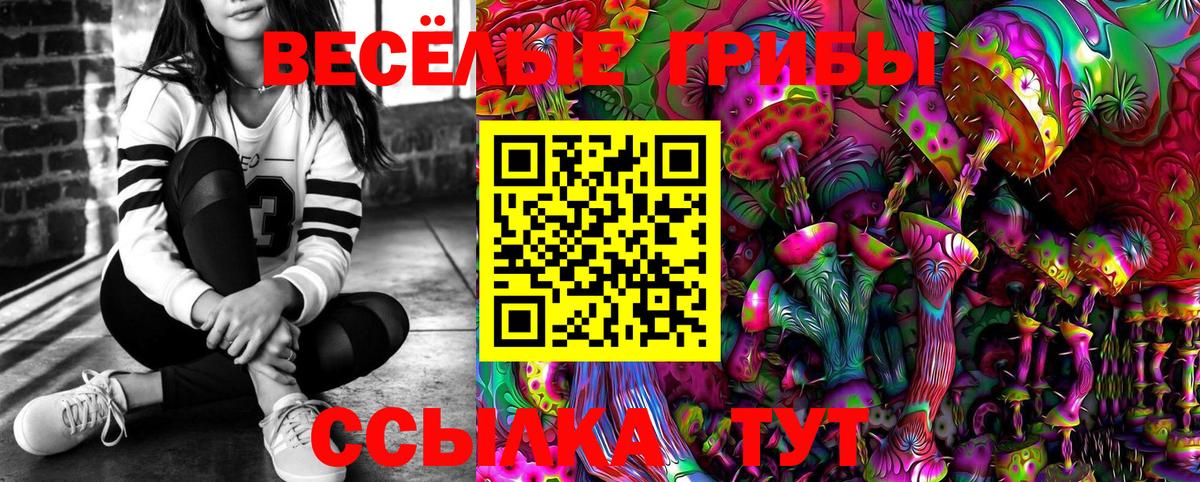 Минеральные Воды  Галлюциногенные грибы прущие грибы  Вход с VPN  Псилоцибиновые грибы мицелий 