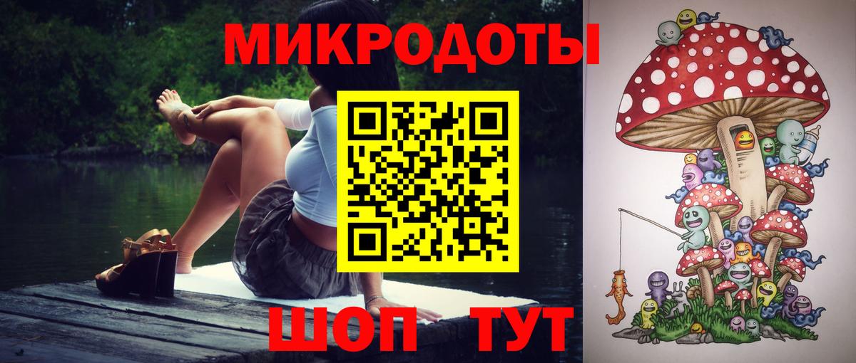 Галлюциногенные грибы Psilocybine cubensis Минеральные Воды